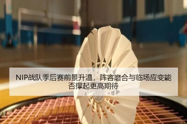 NIP战队季后赛前景升温，阵容磨合与临场应变能否撑起更高期待